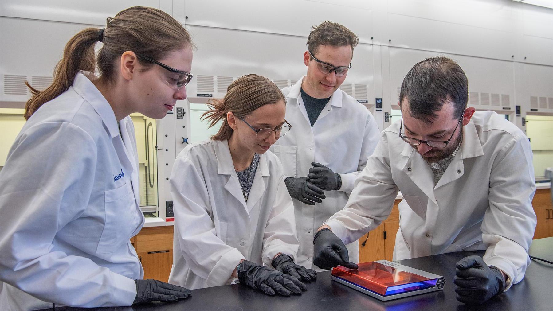 Students working in a biology lab